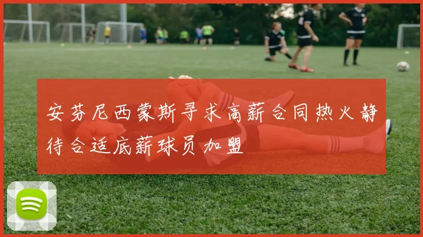 安芬尼西蒙斯寻求高薪合同热火静待合适底薪球员加盟