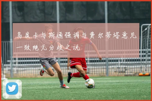 乌度卡与斯通强调与费尔蒂塔意见一致绝无分歧之说