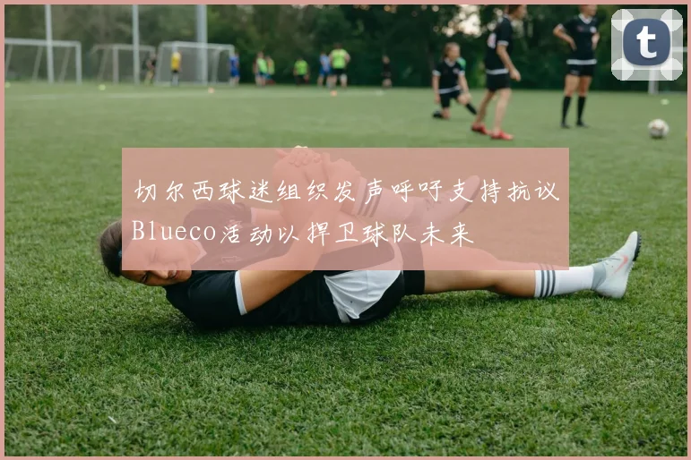 切尔西球迷组织发声呼吁支持抗议Blueco活动以捍卫球队未来