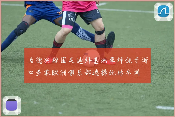 马德兴称国足迪拜基地草坪优于海口多家欧洲俱乐部选择此地冬训
